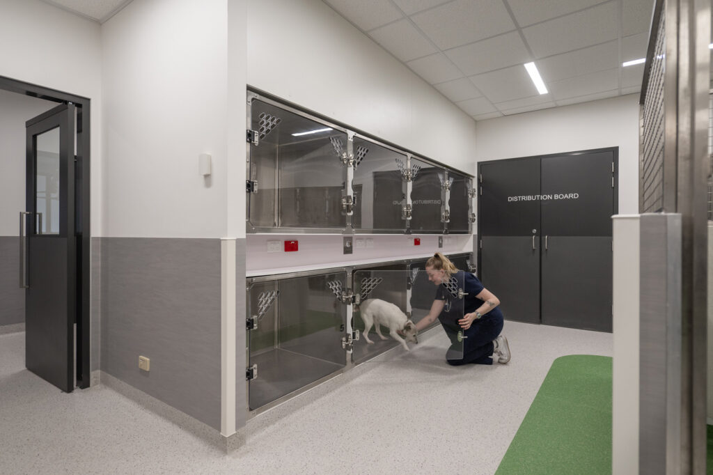 Bldg.Eng-Lort-Smith-North-Melbourne-10