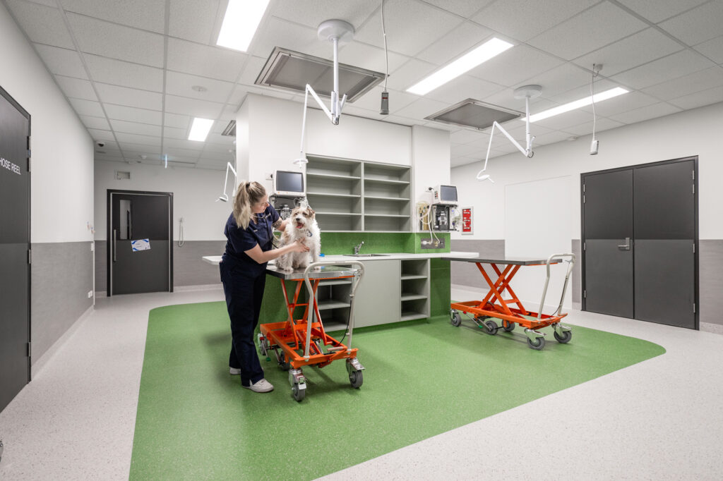 Bldg.Eng-Lort-Smith-North-Melbourne-9
